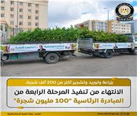 «الوزراء»: توريد 200 ألف شجرة لزراعتها في شوارع 16 محافظة