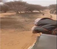 تعزيزات عسكرية ضخمة وعمليات تمشيط واسعة للجيش السوداني في محاور كردفان