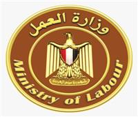 وزير العمل يعلن 350 وظيفة موسمية بالخارج للعمالة الزراعية 