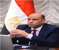 وزير العمل يدعو العمالة المصرية بالأردن للإستفادة من مهلة تصويب الأوضاع حتى 30 سبتمبر