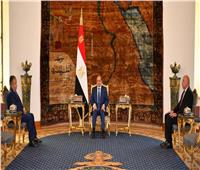 الرئيس السيسي يستقبل نبيل فهمي المرشح لمنصب الأمين العام لجامعة الدول العربية