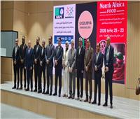 299 مليون دولار صادرات الصناعات الكيماوية المصرية لليبيا