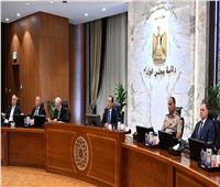 مجلس الوزراء يوافق على استمرار العمل عن بُعد أيام الأحد خلال شهر يوليو