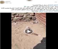 لغز القدم البشرية بالدقهلية.."الداخلية" تكشف الحقيقة وتوضح ملابسات الواقعة