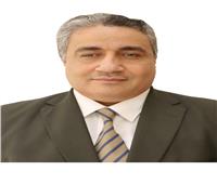 سيد سعد يكتب.. طفرة تشريعية وخدمية لدعم الأشخاص ذوي الإعاقة