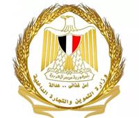  بمناسبة ذكرى 30 يونيو.. التموين تستعرض إنجازاتها في مجال الأمن الغذائي 