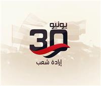 التموين في ذكرى 30 يونيو : الأمن الغذائي يمثل أحد ركائز الأمن القومي.