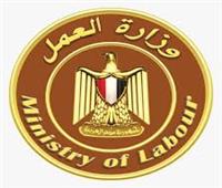 العمل تعلن عن 3820 وظيفة جديدة براتب يصل الى 35000 جنيه