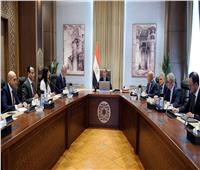 مدبولي يبحث مع Maersk تعزيز ريادة مصر في النقل البحري واللوجستيات