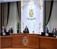 وزيرالتخطيط يستعرض التقرير الوطني الطوعي الرابع لمصر لعام 2026   