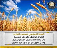  الوزراء:الدولة تواصل جهودها للتوسع في زراعة «المحاصيل الاستراتيجية»