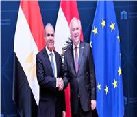 وزير الخارجية يبحث تعزيز التعاون البرلماني مع النمسا