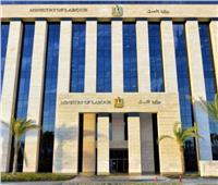 دون اللجوء للقضاء..«العمل» تعيد مستحقات مالية لـ51 عامل بالقطاع الخاص