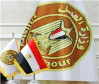 من بينها ذوي الهمم ..«العمل» توفر فرص تشغيل جديدة بالمحافظات