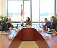  التضامن الاجتماعي تتابع الخطة التنفيذية لصندوق دعم الصناعات الريفية والبيئية