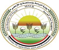 «الزراعة» تنفى انتشار مرض الجلد العقدي وتؤكد استقرار الموقف الوبائي 