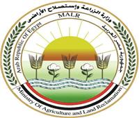 حظر القتل الجماعي والسموم لحيوانات الشارع: ملاحقة قضائية فورية للمخالفين