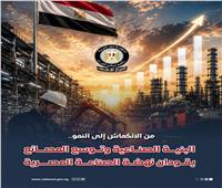  الوزراء: البنية الصناعية وتوسع المصانع يقودان نهضة الصناعة المصرية