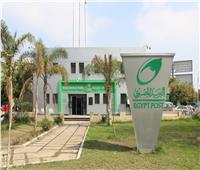 شراكة ممتدة