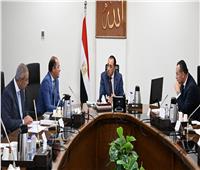 رئيس الوزراء يبحث زيادة حوافز أعضاء هيئة التدريس بالجامعات والمراكز البحثية